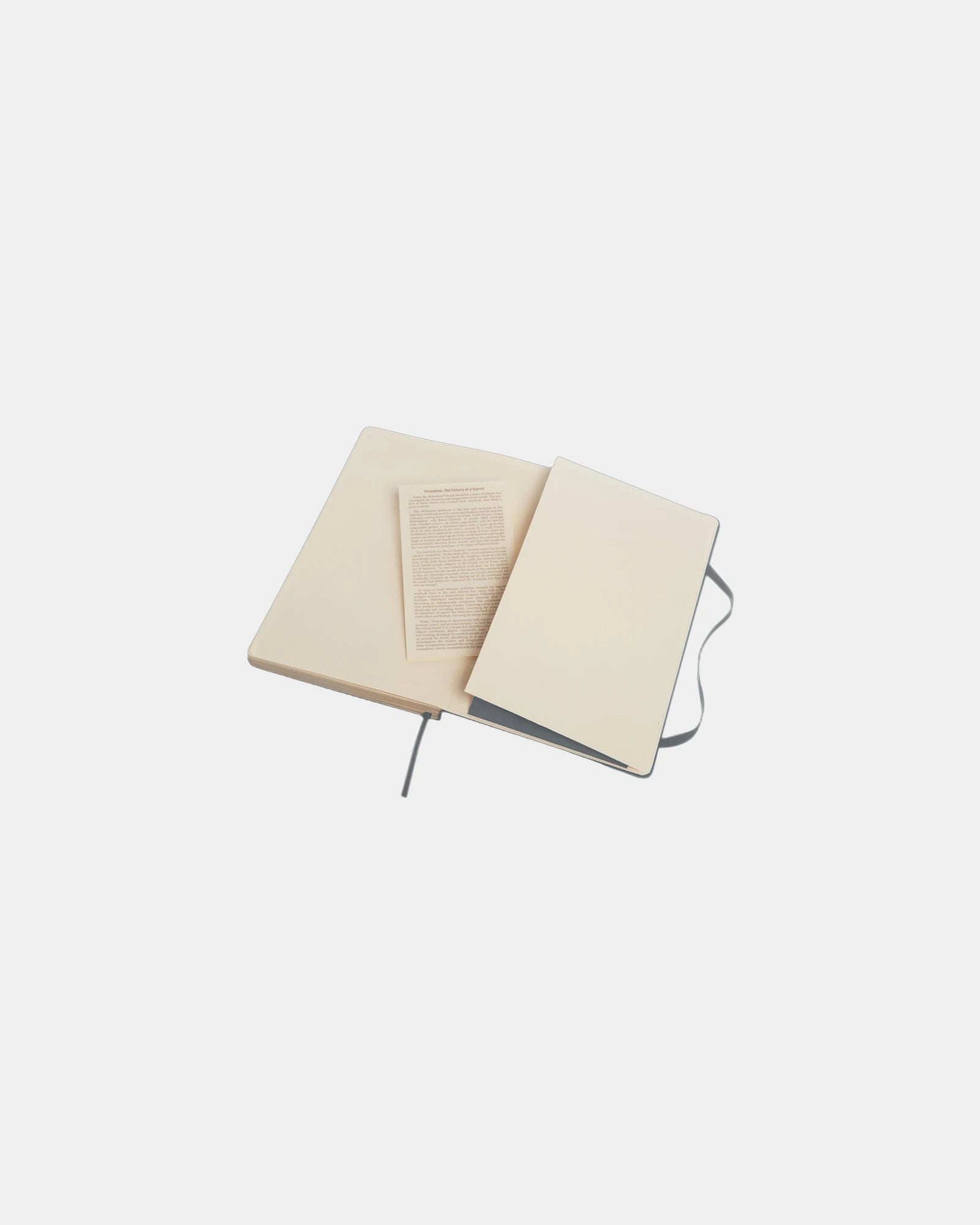 Notes Moleskine Classic L, 13 x 21 cm, z nadrukiem - 8