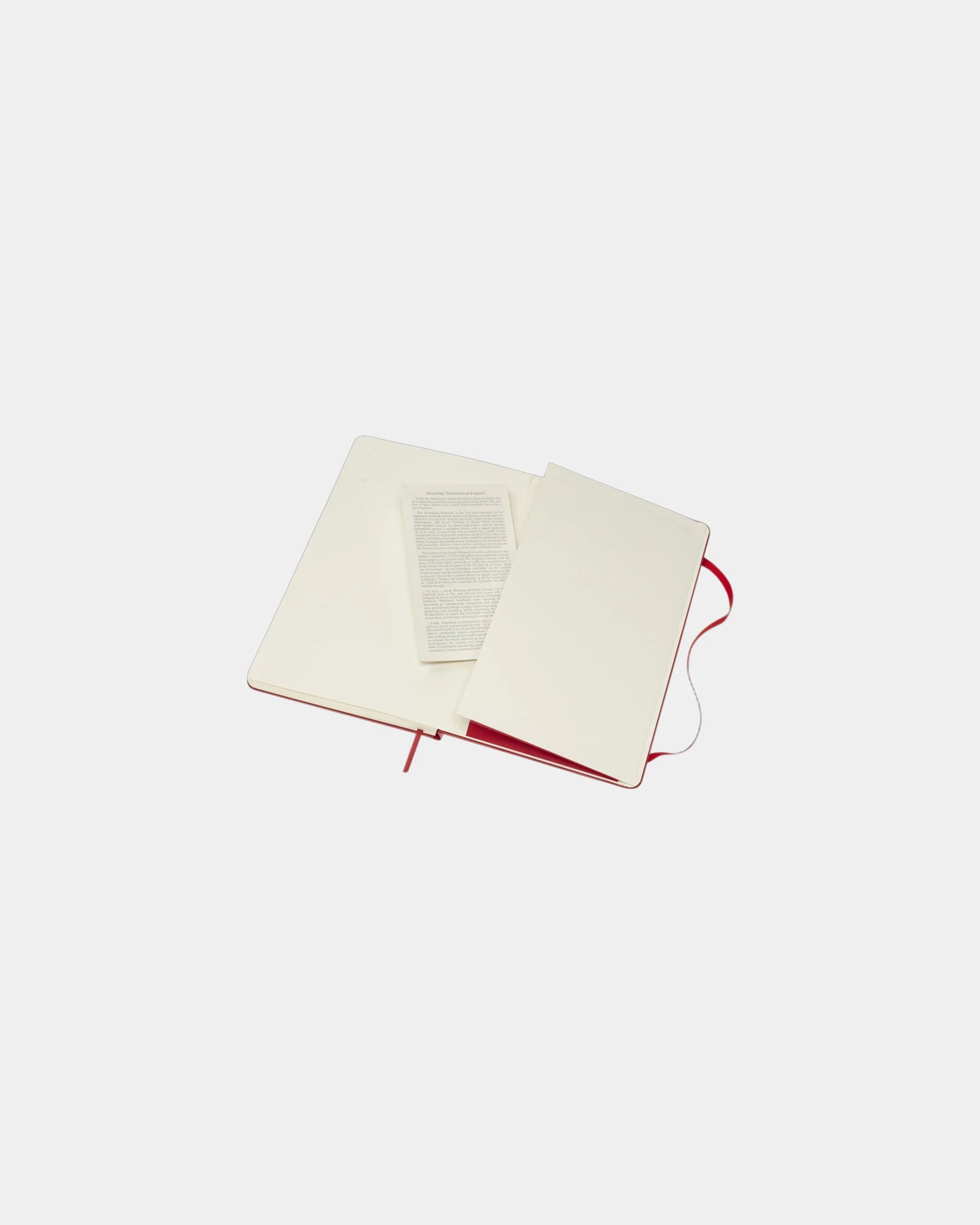 Notes Moleskine Classic L, 13 x 21 cm, z nadrukiem - 25