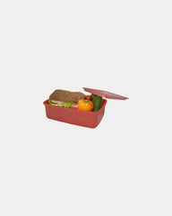 Lunch box z plastiku PP 800 ml Dovi z nadrukiem - 5