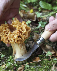 Nóż do grzybów ze stali nierdzewnej Opinel N°08 z nadrukiem - 3