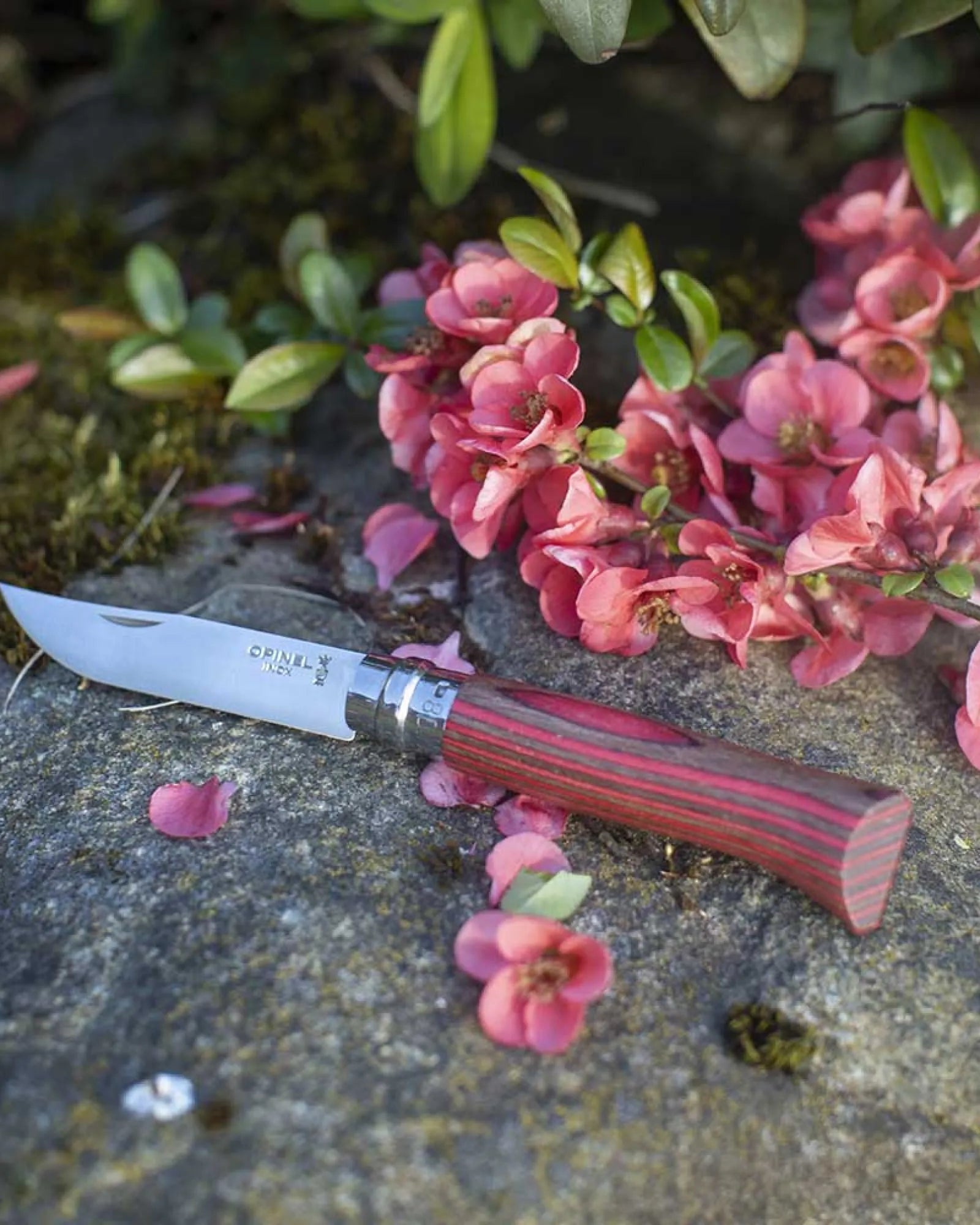 Nóż ze stali węglowej Opinel N°02 Carbone z nadrukiem - 14