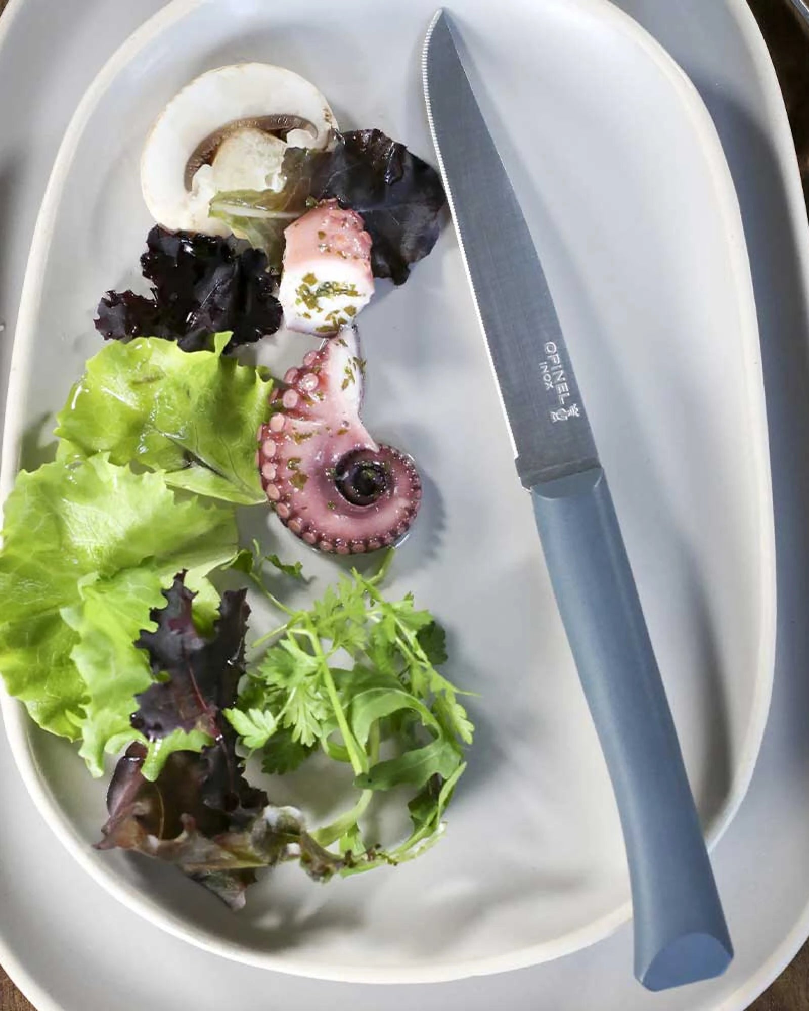 Nóż stołowy ze stali nierdzewnej Opinel Bon Appétit + z nadrukiem - 3