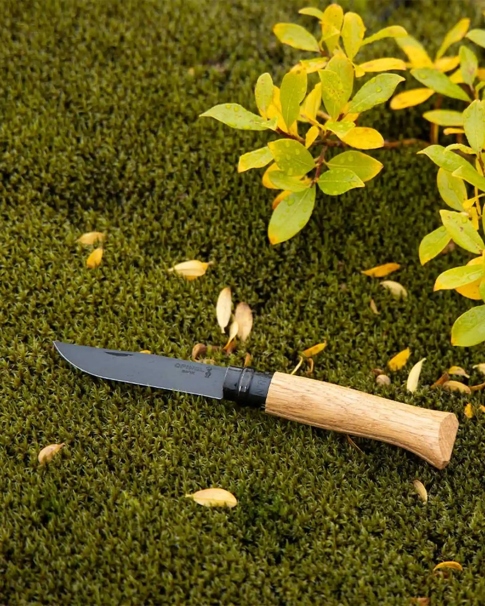 Nóż ze stali nierdzewnej Opinel N°08 Chêne Black z nadrukiem - 6