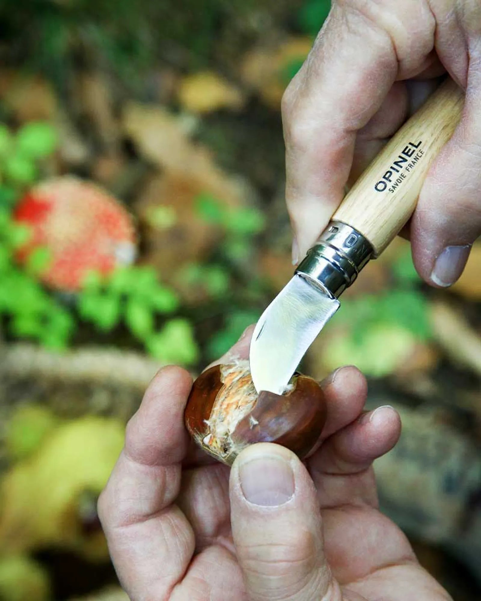 Nóż do kasztanów Opinel N°07 ze stali nierdzewnej z nadrukiem - 4
