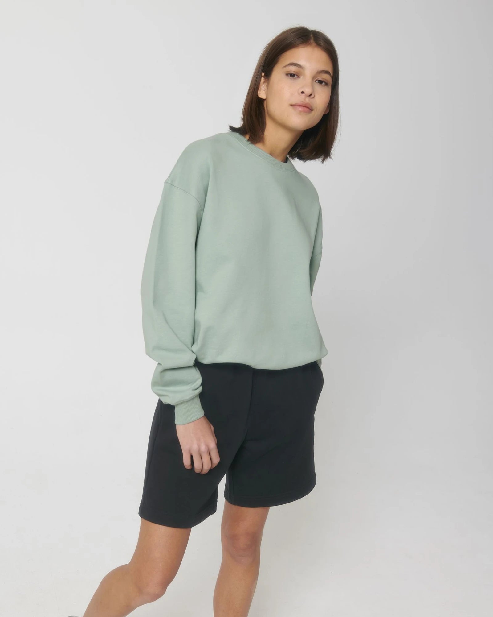 Bluza z okrągłym dekoltem z bawełny organicznej Stanley/Stella Ledger z nadrukiem - 24