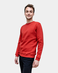 Męska bluza dresowa Made in France z logo - 20