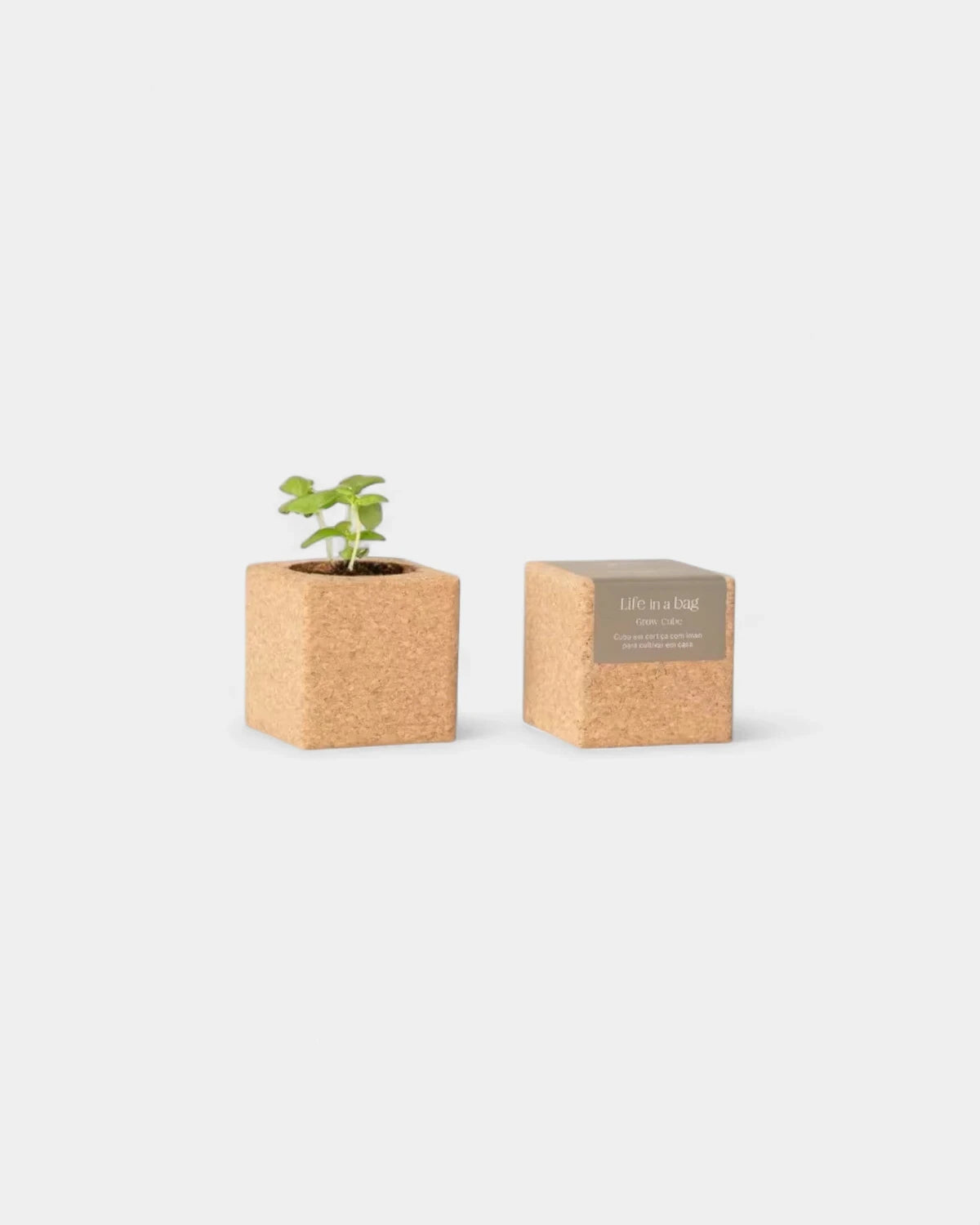 Grow cube personnalisable